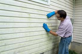 Best Vinyl Siding Installation  in Oshkosh, WI